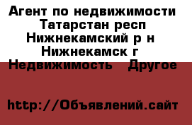 Агент по недвижимости - Татарстан респ., Нижнекамский р-н, Нижнекамск г. Недвижимость » Другое   